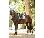 Tapis de selle  Swiss Design