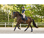 Tapis de selle  Swiss Design