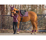 Tapis de selle  Brillant