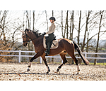 Tapis de selle  Teddy
