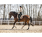 Tapis de selle  Teddy