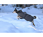 Manteau pour chien avec doublure polaire  Eddie 200 g