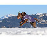 Manteau pour chien avec doublure polaire  Eddie 200 g