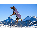 Manteau pour chien avec doublure polaire  Eddie 200 g