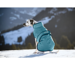 Manteau pour chien avec doublure polaire  Eddie 200 g