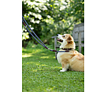 Collier pour chien  Rope