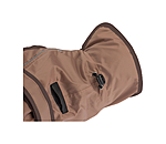 Manteau pour chien 2 en 1  Ally