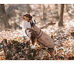 Manteau pour chien 2 en 1  Ally