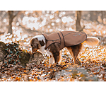 Manteau pour chien 2 en 1  Ally