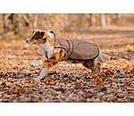 Manteau pour chien 2 en 1  Ally