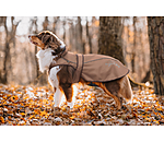 Manteau pour chien 2 en 1  Ally