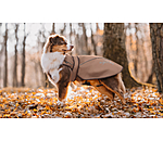 Manteau pour chien 2 en 1  Ally