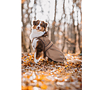 Manteau pour chien 2 en 1  Ally