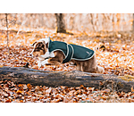 Manteau de pluie pour chien  Eldoro II avec doublure intrieure en polaire, 0g