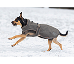 Manteau de pluie pour chien  Eldoro II avec doublure intérieure en polaire, 0g