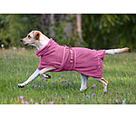 Chemise s�chante pour chien  Dry Dog II