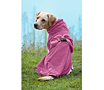 Chemise s�chante pour chien  Dry Dog II