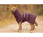 Chemise s�chante pour chien  Dry Dog II