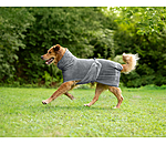 Chemise s�chante pour chien  Dry Dog II