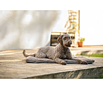 Tapis pour chien  Let Me Sleep