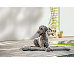 Tapis pour chien  Let Me Sleep