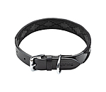 Ensemble collier et laisse en cuir pour chien  Polo Sports