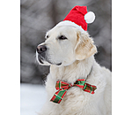 Bonnet de Noël pour chiens  Santa