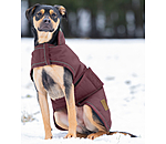 Manteau d'hiver pour chien  Beaver Creek, 400 g