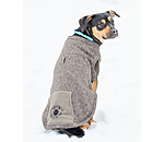 Pull-over pour chiens  Seb