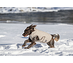 Manteau avec doublure en polaire Teddy pour chien  Archie, 160 g