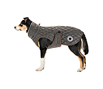olive fonc�e