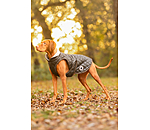 Manteau avec doublure en polaire Teddy pour chien  Archie, 160 g