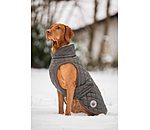 Manteau avec doublure en polaire Teddy pour chien  Archie, 160 g