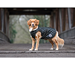 Manteau avec doublure en polaire Teddy pour chien  Archie, 160 g