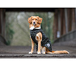 Manteau avec doublure en polaire Teddy pour chien  Archie, 160 g