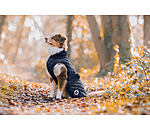 Manteau avec doublure en polaire Teddy pour chien  Archie, 160 g