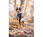 Manteau avec doublure en polaire Teddy pour chien  Archie, 160 g