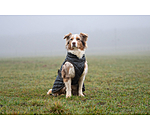 Manteau avec doublure en polaire Teddy pour chien  Archie, 160 g