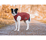 Manteau avec doublure en polaire Teddy pour chien  Archie, 160 g