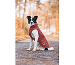 Manteau avec doublure en polaire Teddy pour chien  Archie, 160 g