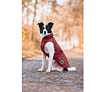 Manteau avec doublure en polaire Teddy pour chien  Archie, 160 g