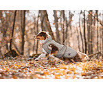 Manteau avec doublure en polaire Teddy pour chien  Archie, 160 g