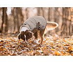 Manteau avec doublure en polaire Teddy pour chien  Archie, 160 g