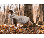 Manteau avec doublure en polaire Teddy pour chien  Archie, 160 g