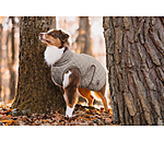 Manteau avec doublure en polaire Teddy pour chien  Archie, 160 g