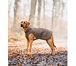 Manteau avec doublure en polaire Teddy pour chien  Archie, 160 g