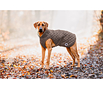 Manteau avec doublure en polaire Teddy pour chien  Archie, 160 g