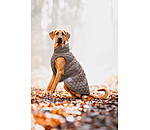 Manteau avec doublure en polaire Teddy pour chien  Archie, 160 g