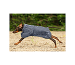 Manteau de pluie pour chiens  Sequoia
