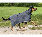 Manteau de pluie pour chiens  Sequoia